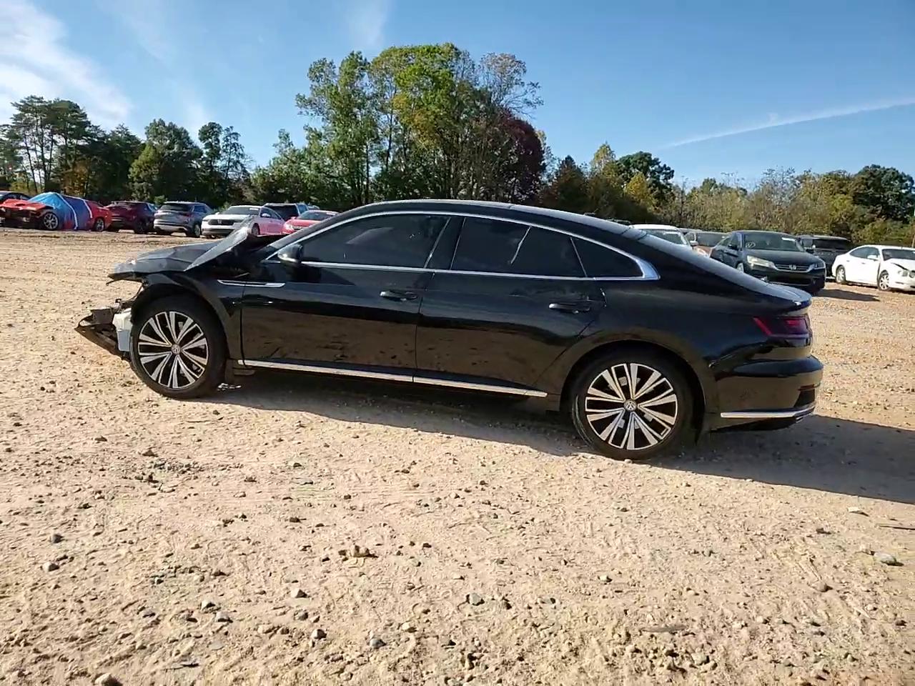 Фото: WVWDR7AN1LE013535