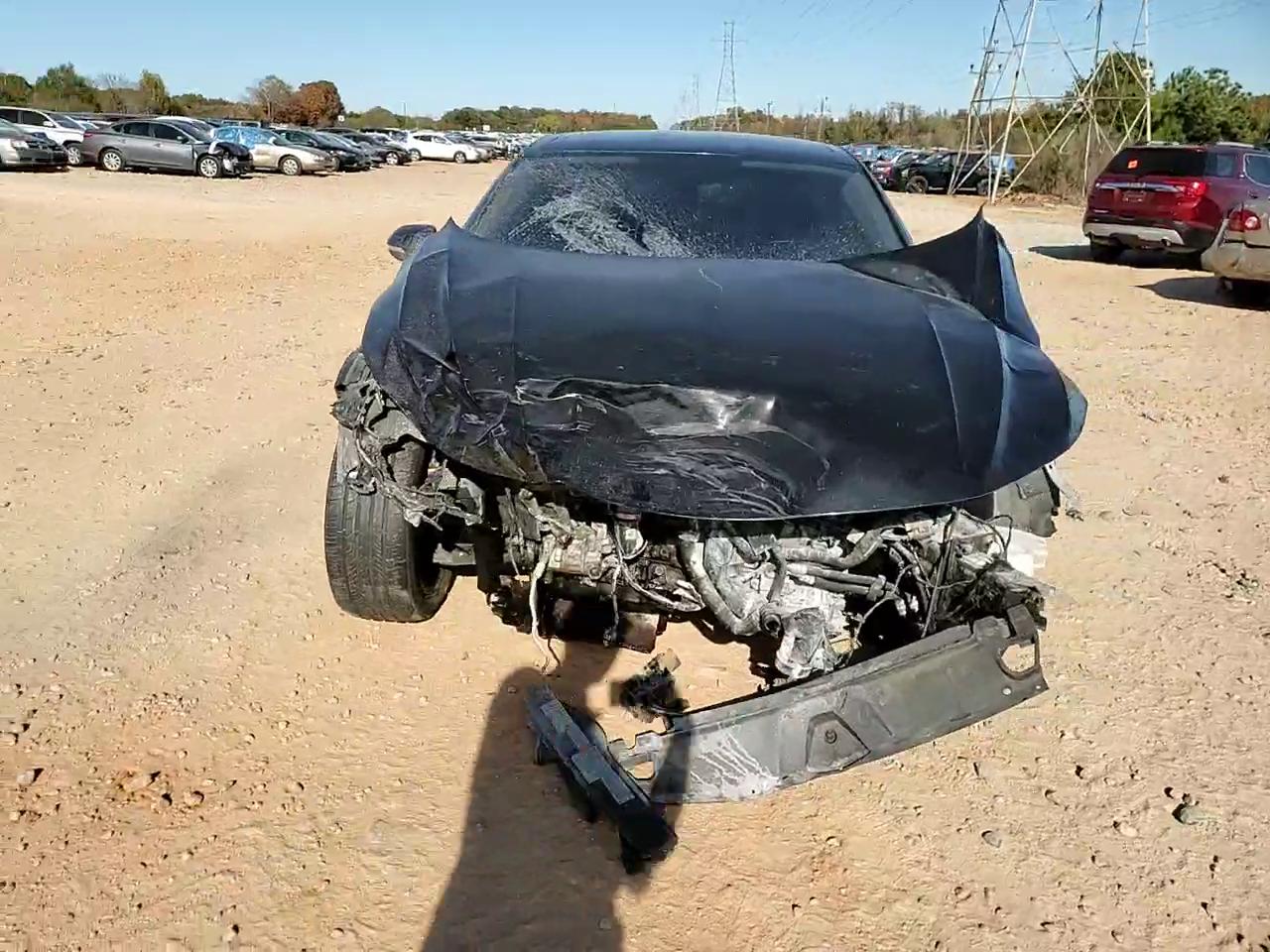 Фото: WVWDR7AN1LE013535