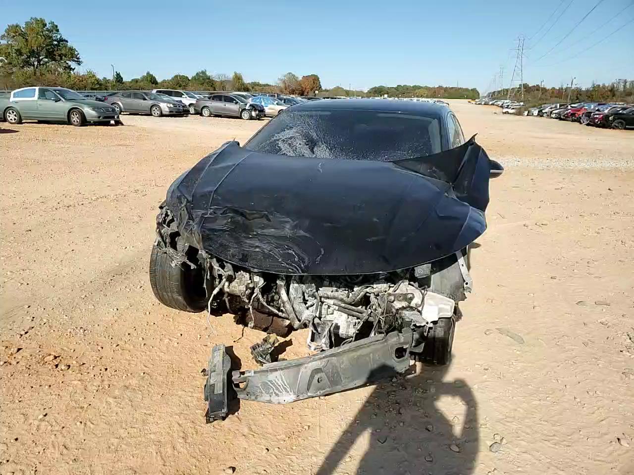 Фото: WVWDR7AN1LE013535