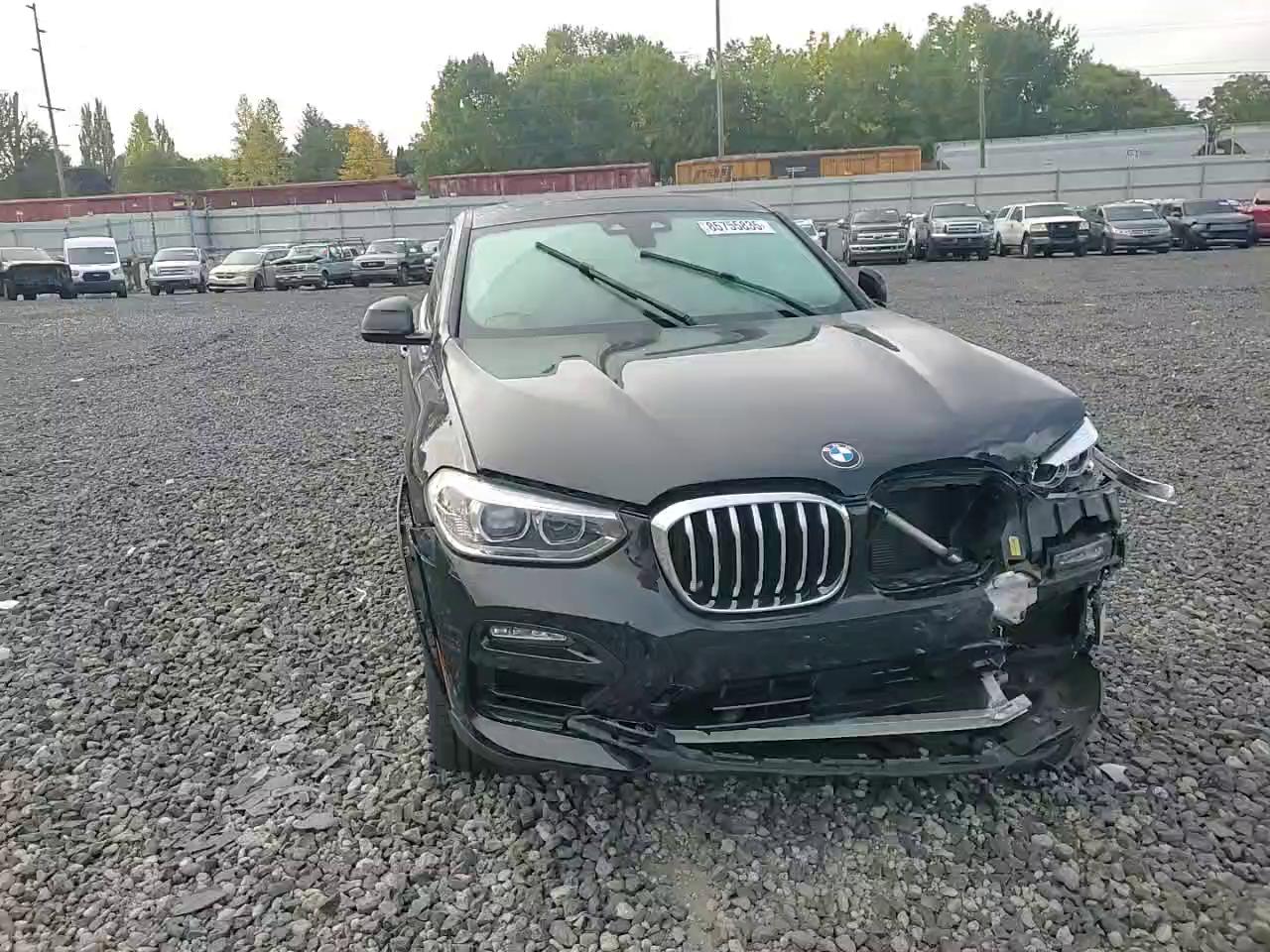 Фото: 5UX2V1C02M9G81356