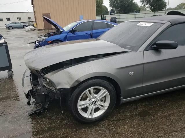 2014 Ford Mustang VIN: 1ZVBP8EM5E5205674 Lot: 82221475