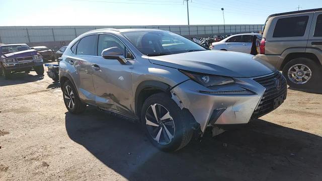 2020 Lexus Nx 300H VIN: JTJGJRDZ6L2144716 Lot: 84446535