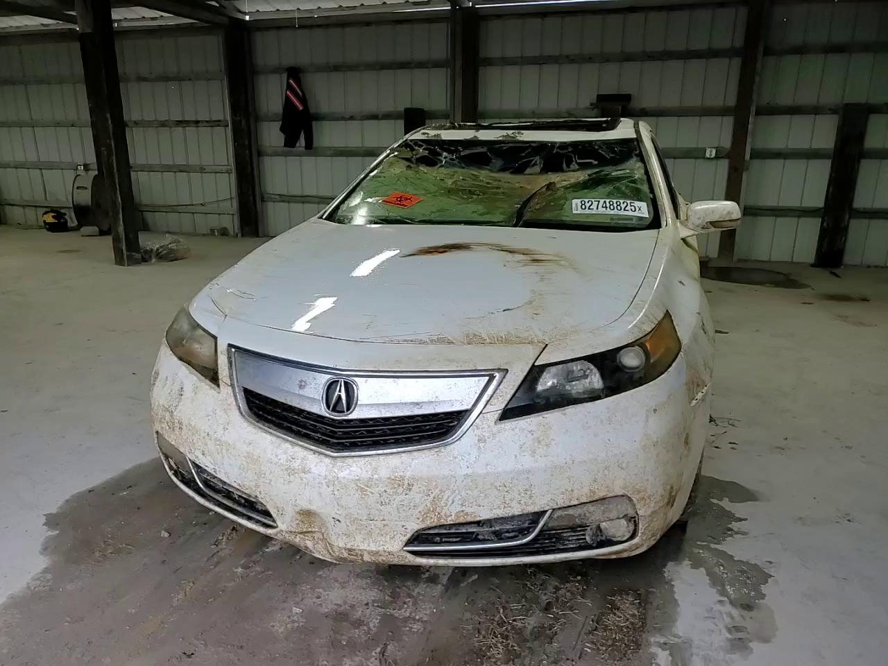 Фото: 19UUA8F25CA034036