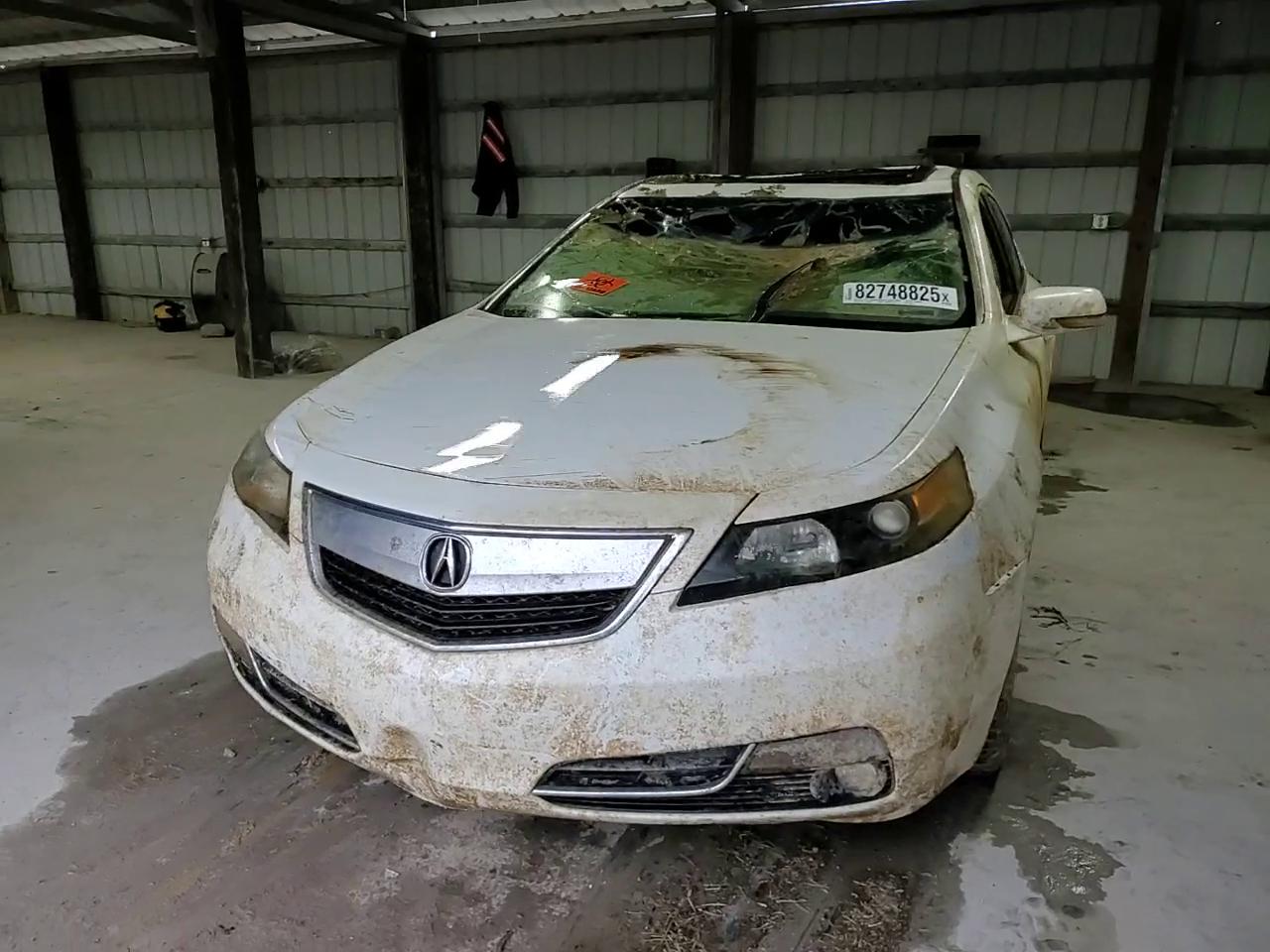 Фото: 19UUA8F25CA034036