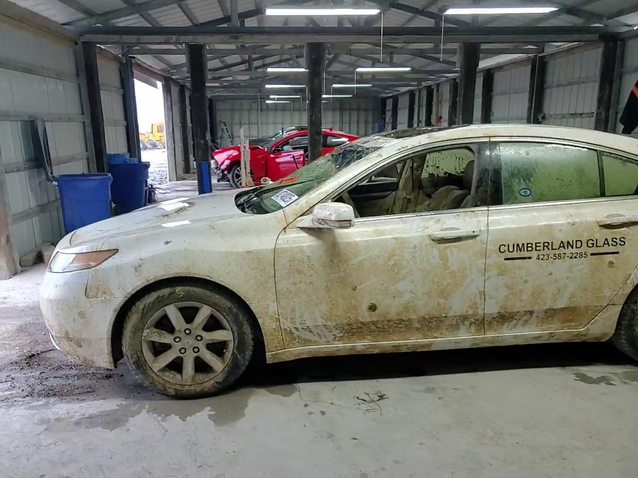 Фото: 19UUA8F25CA034036