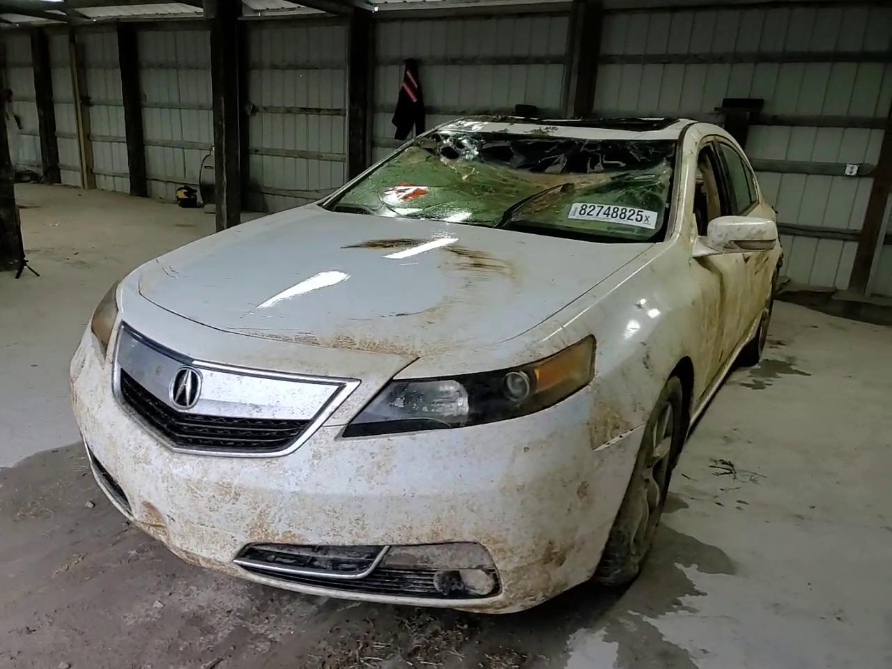 Фото: 19UUA8F25CA034036