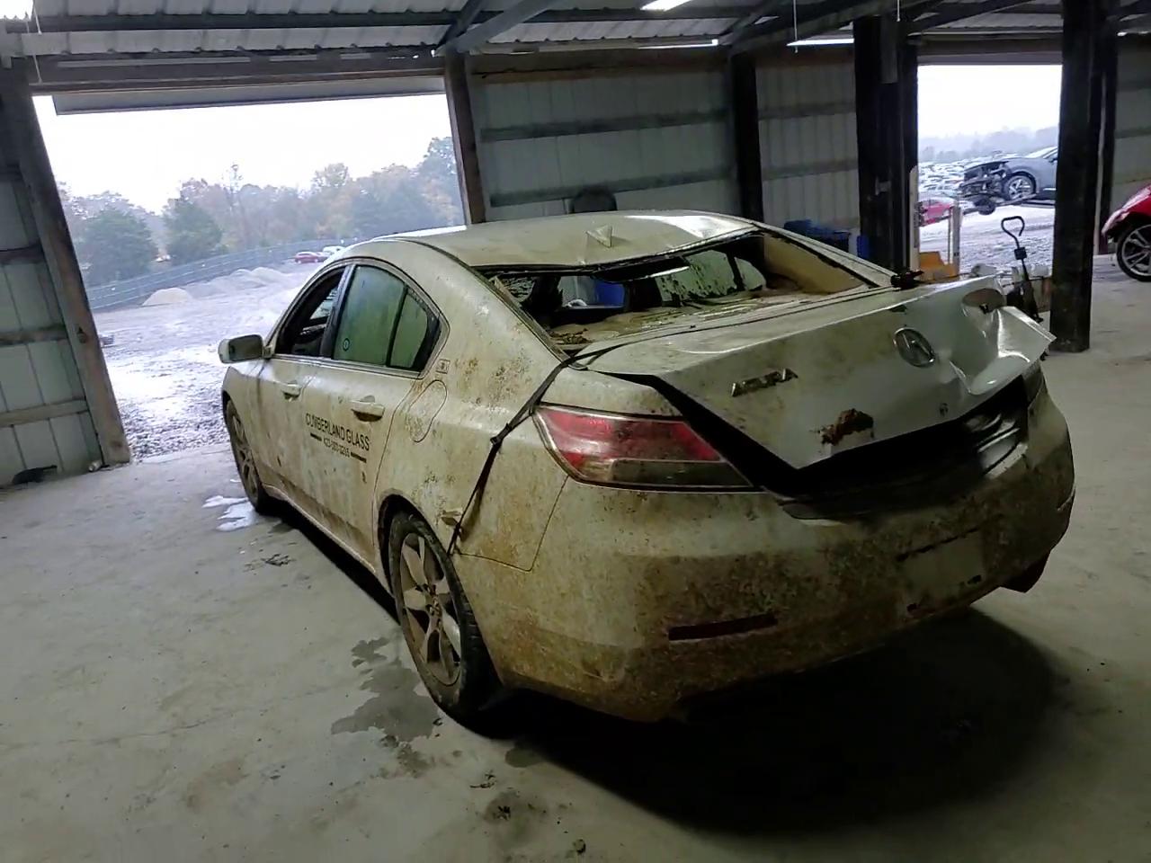 Фото: 19UUA8F25CA034036