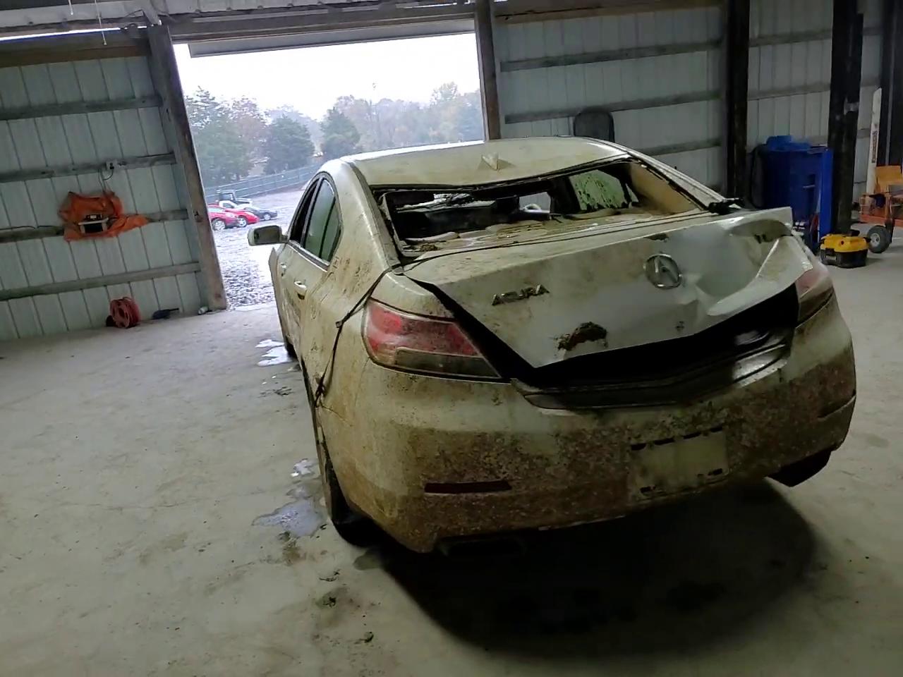 Фото: 19UUA8F25CA034036