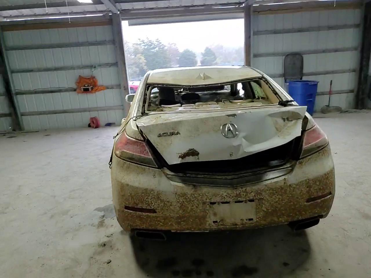 Фото: 19UUA8F25CA034036