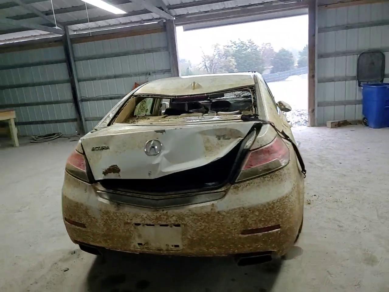 Фото: 19UUA8F25CA034036