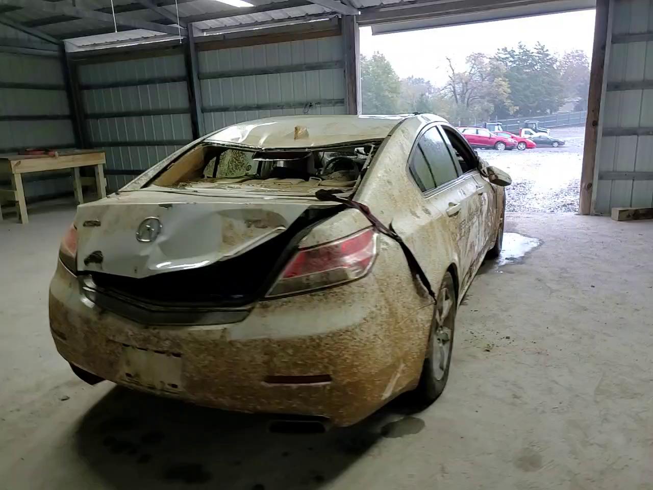 Фото: 19UUA8F25CA034036