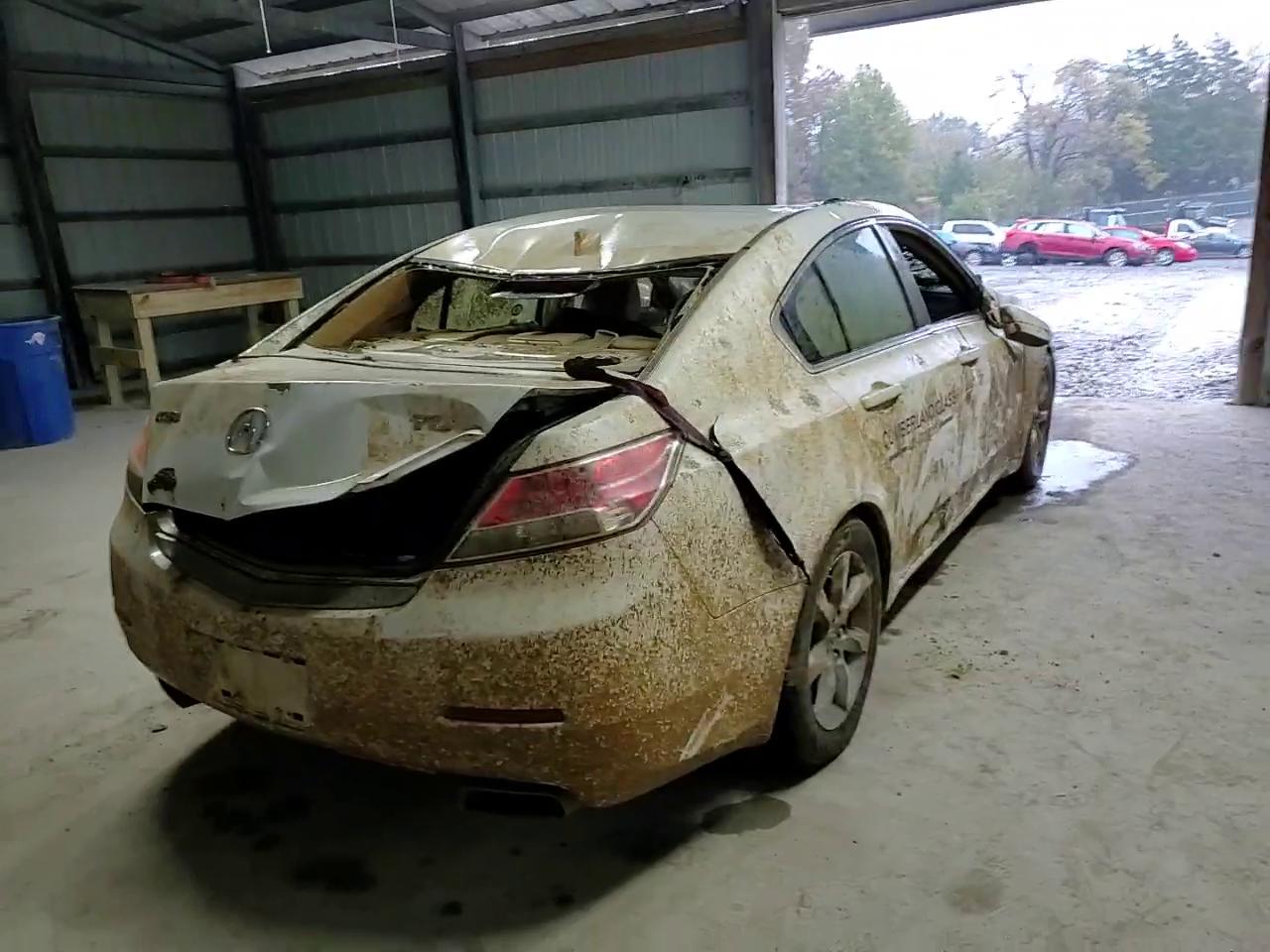 Фото: 19UUA8F25CA034036