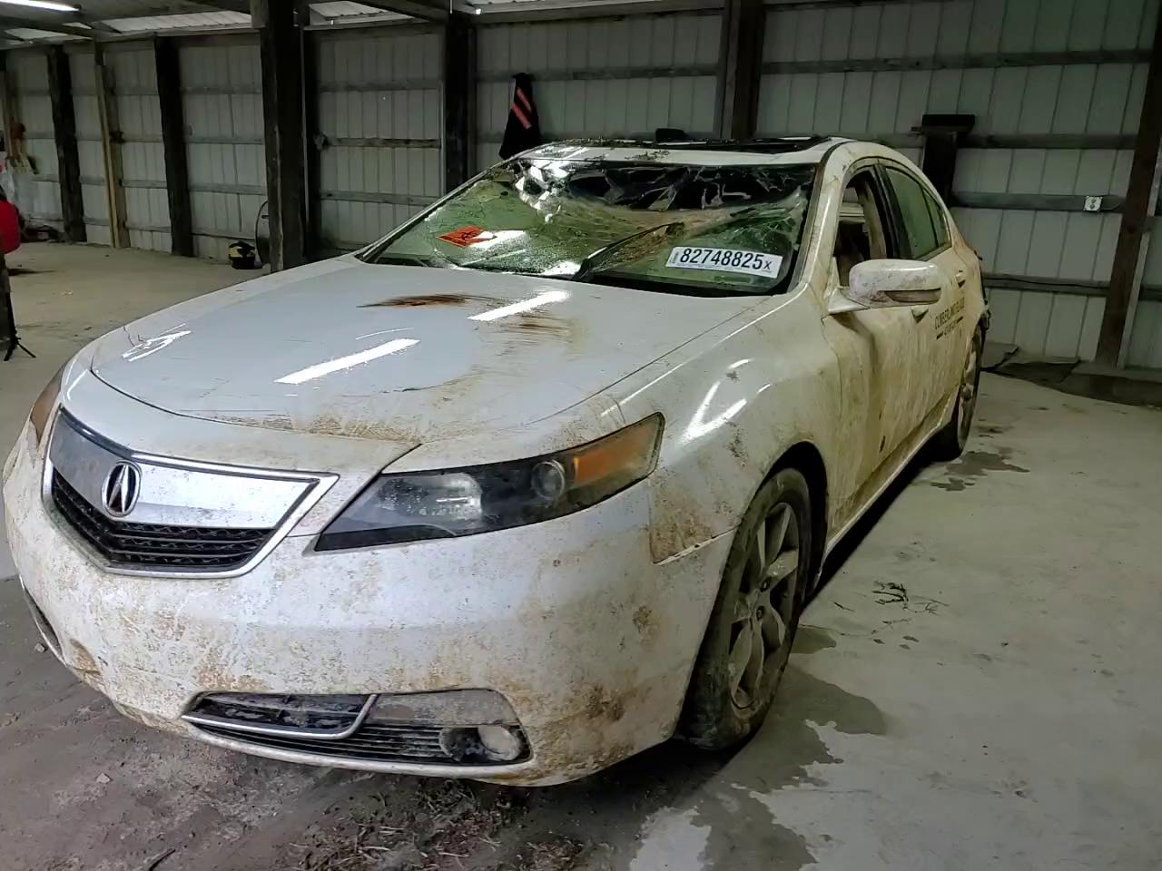 Фото: 19UUA8F25CA034036