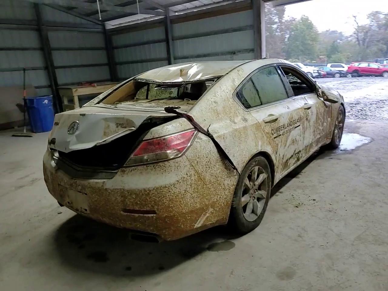 Фото: 19UUA8F25CA034036