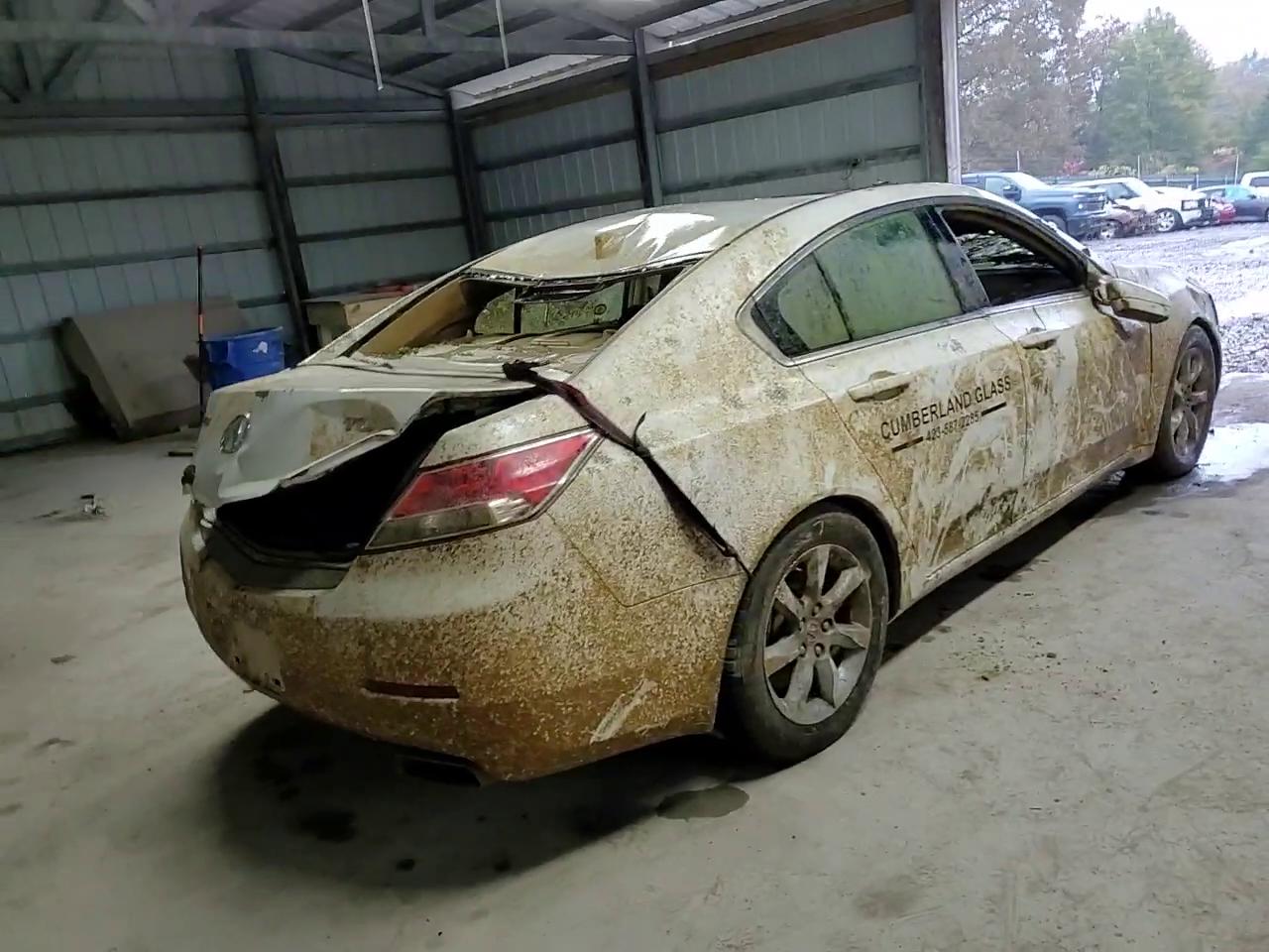 Фото: 19UUA8F25CA034036