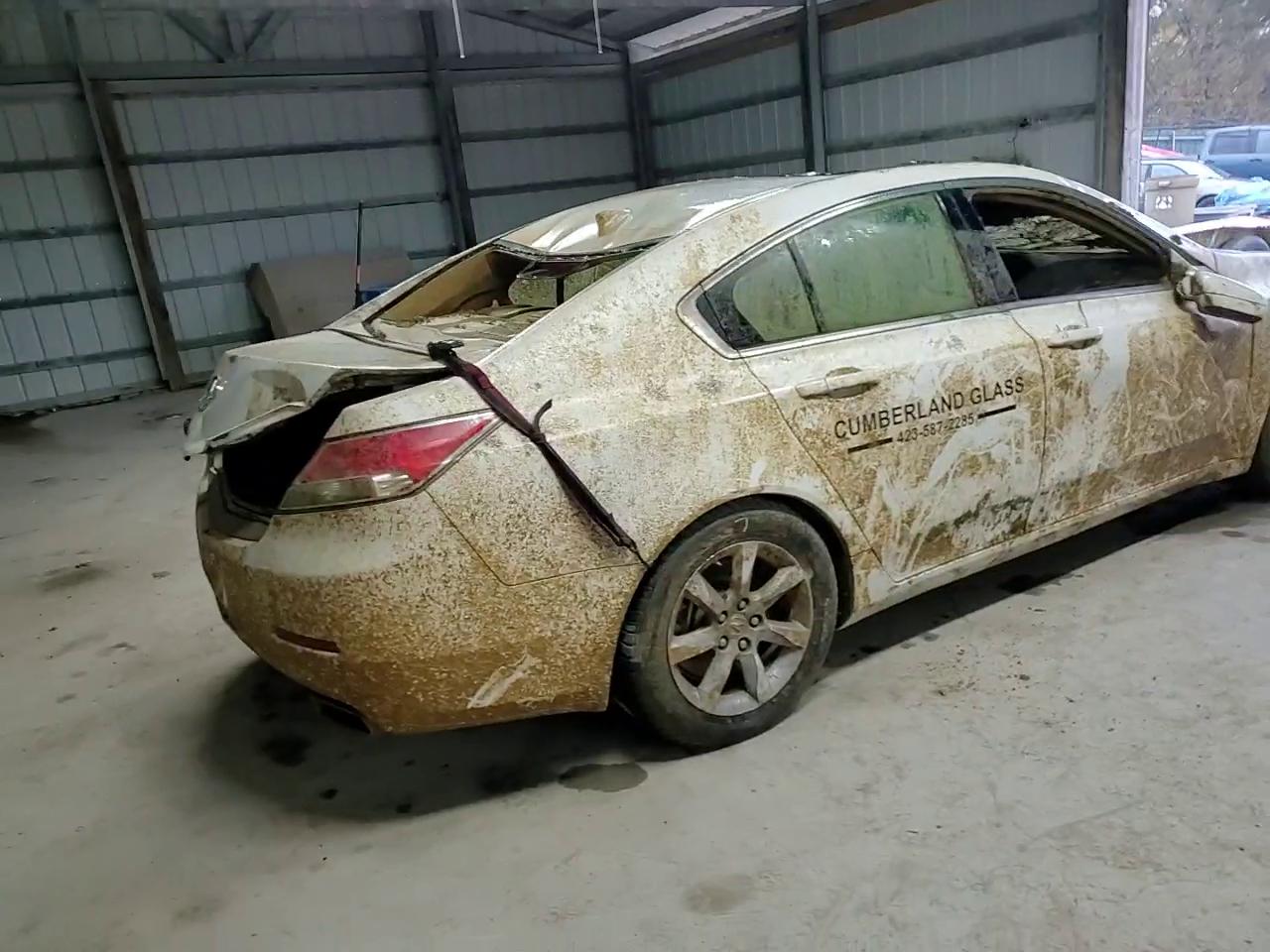 Фото: 19UUA8F25CA034036