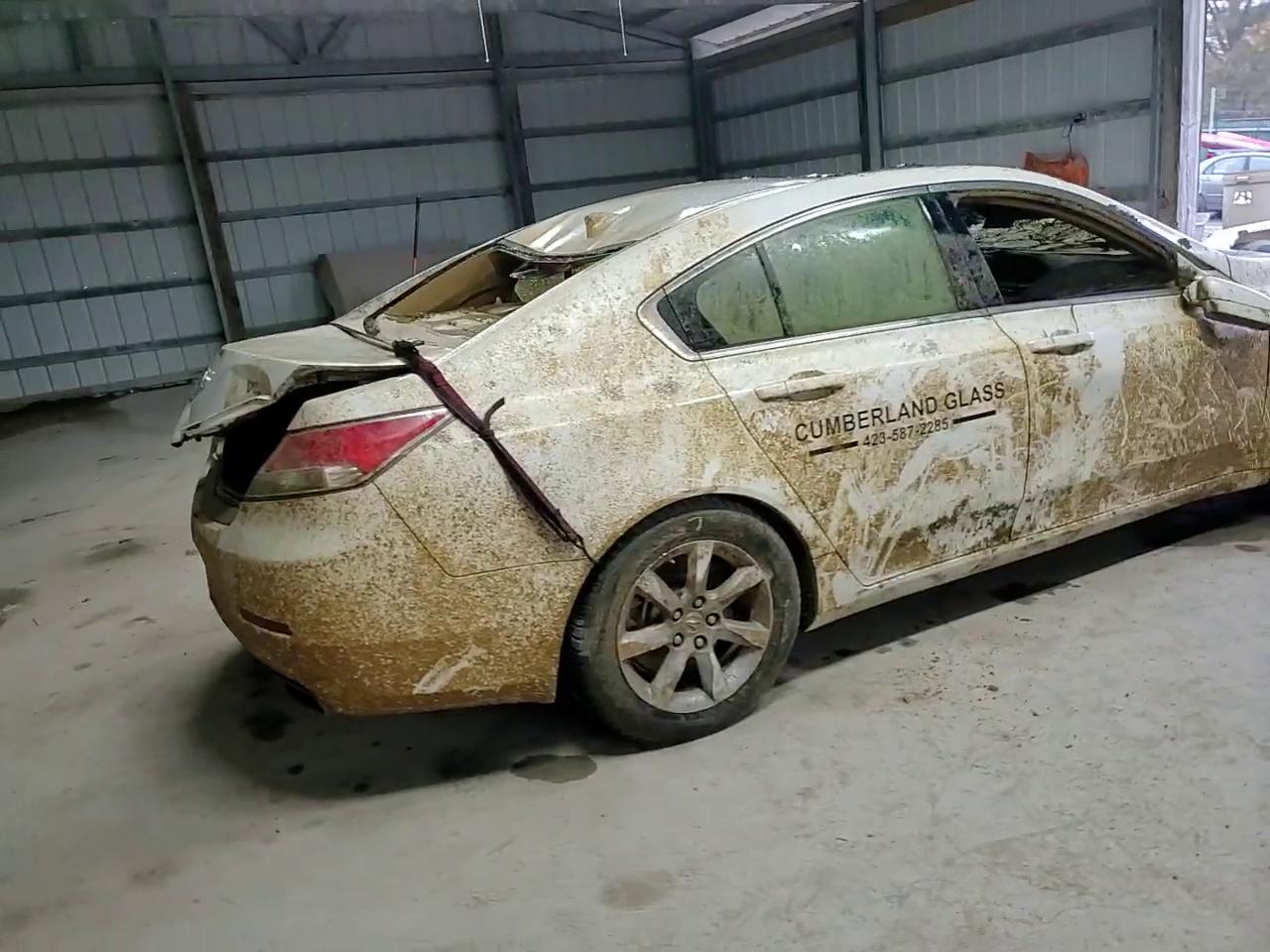 Фото: 19UUA8F25CA034036