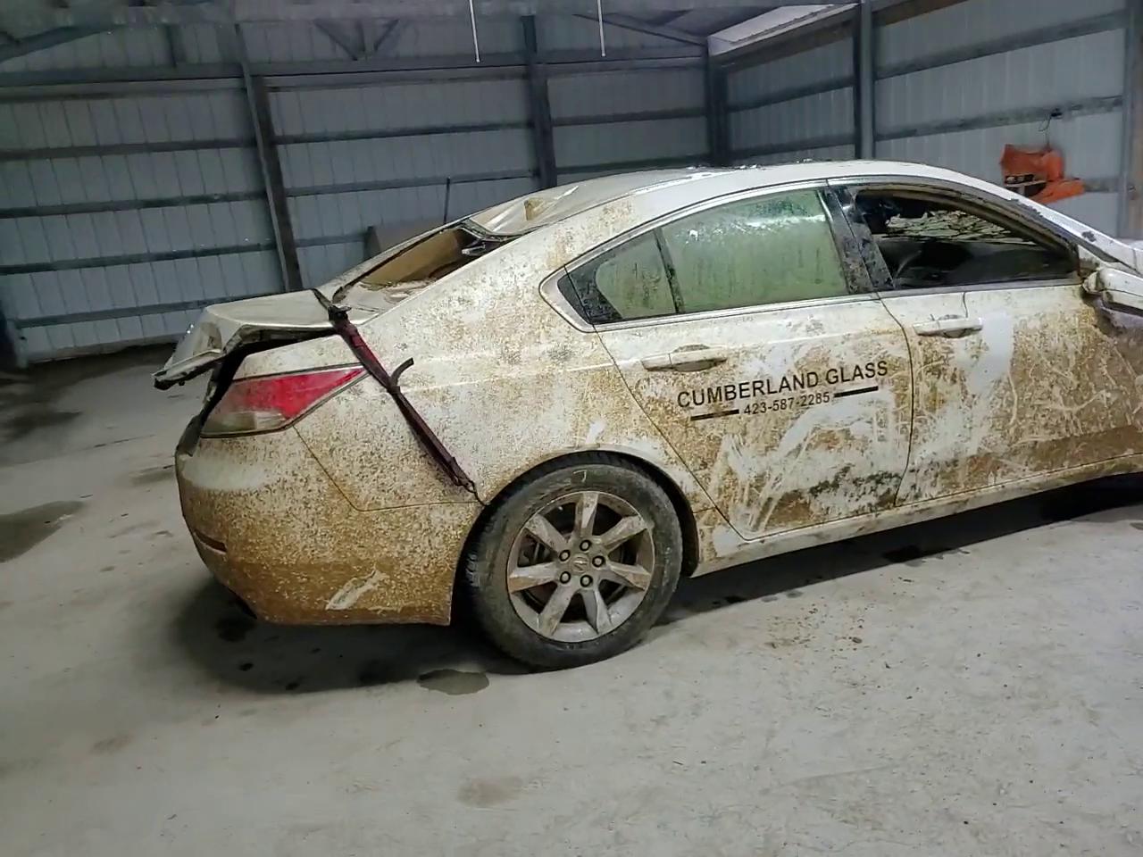 Фото: 19UUA8F25CA034036