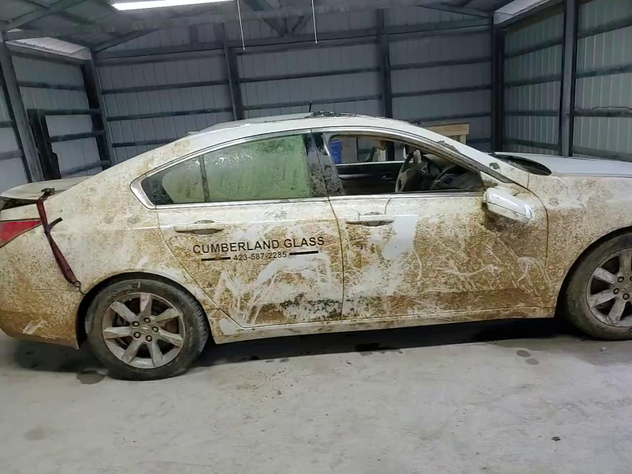 Фото: 19UUA8F25CA034036