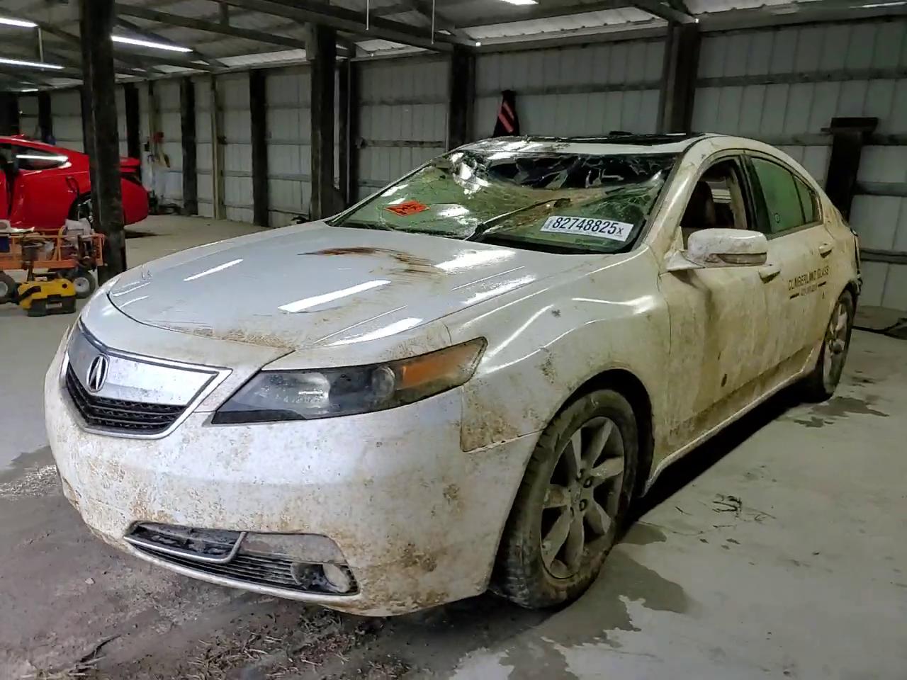 Фото: 19UUA8F25CA034036