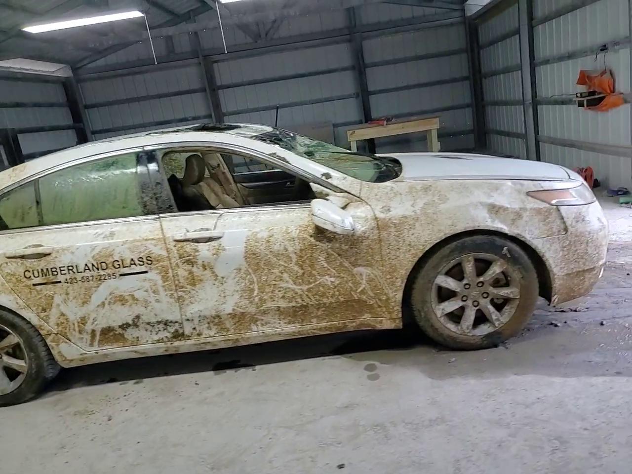 Фото: 19UUA8F25CA034036