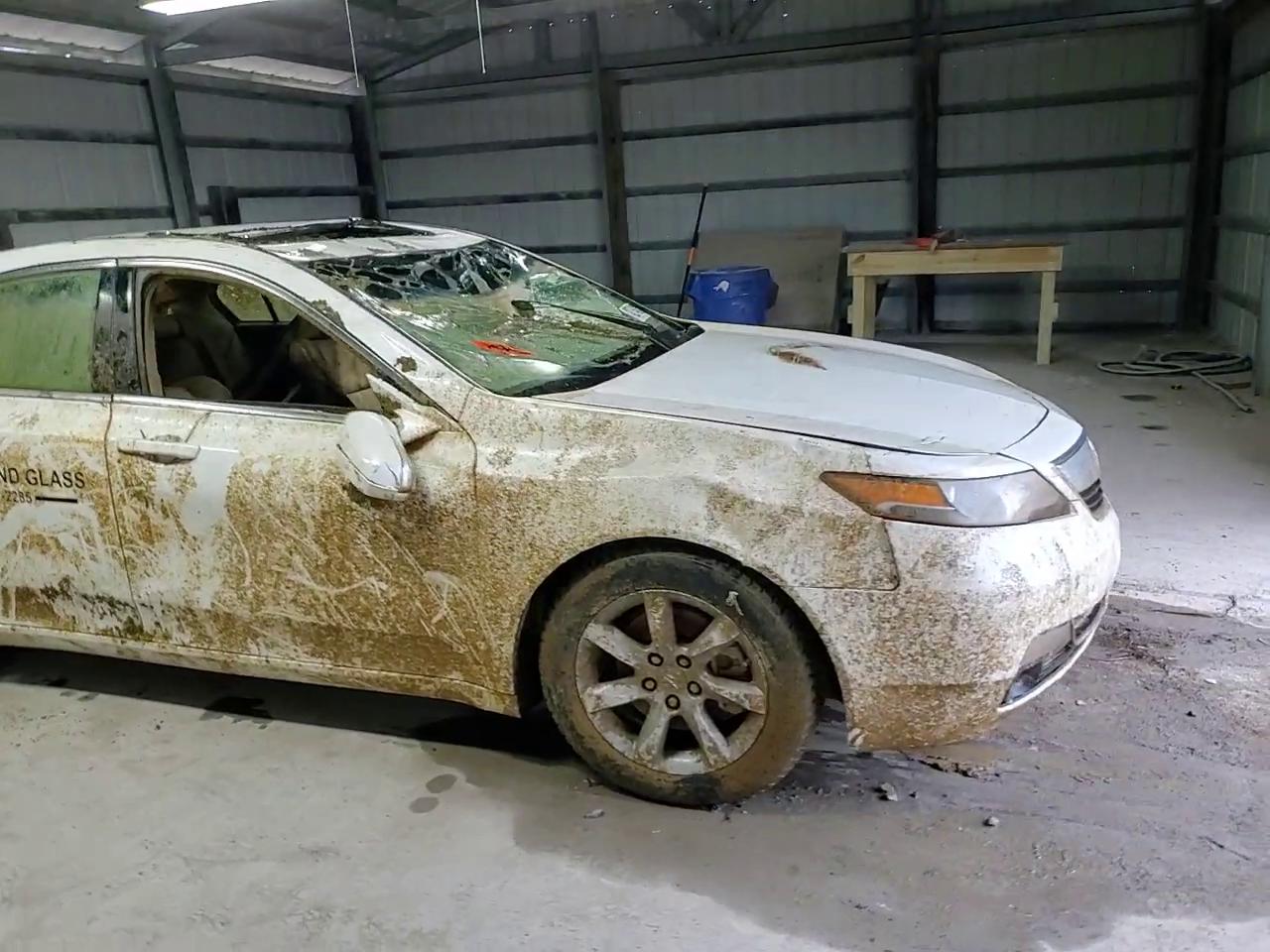 Фото: 19UUA8F25CA034036