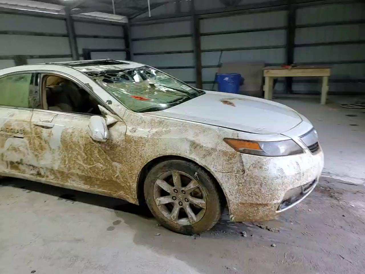 Фото: 19UUA8F25CA034036