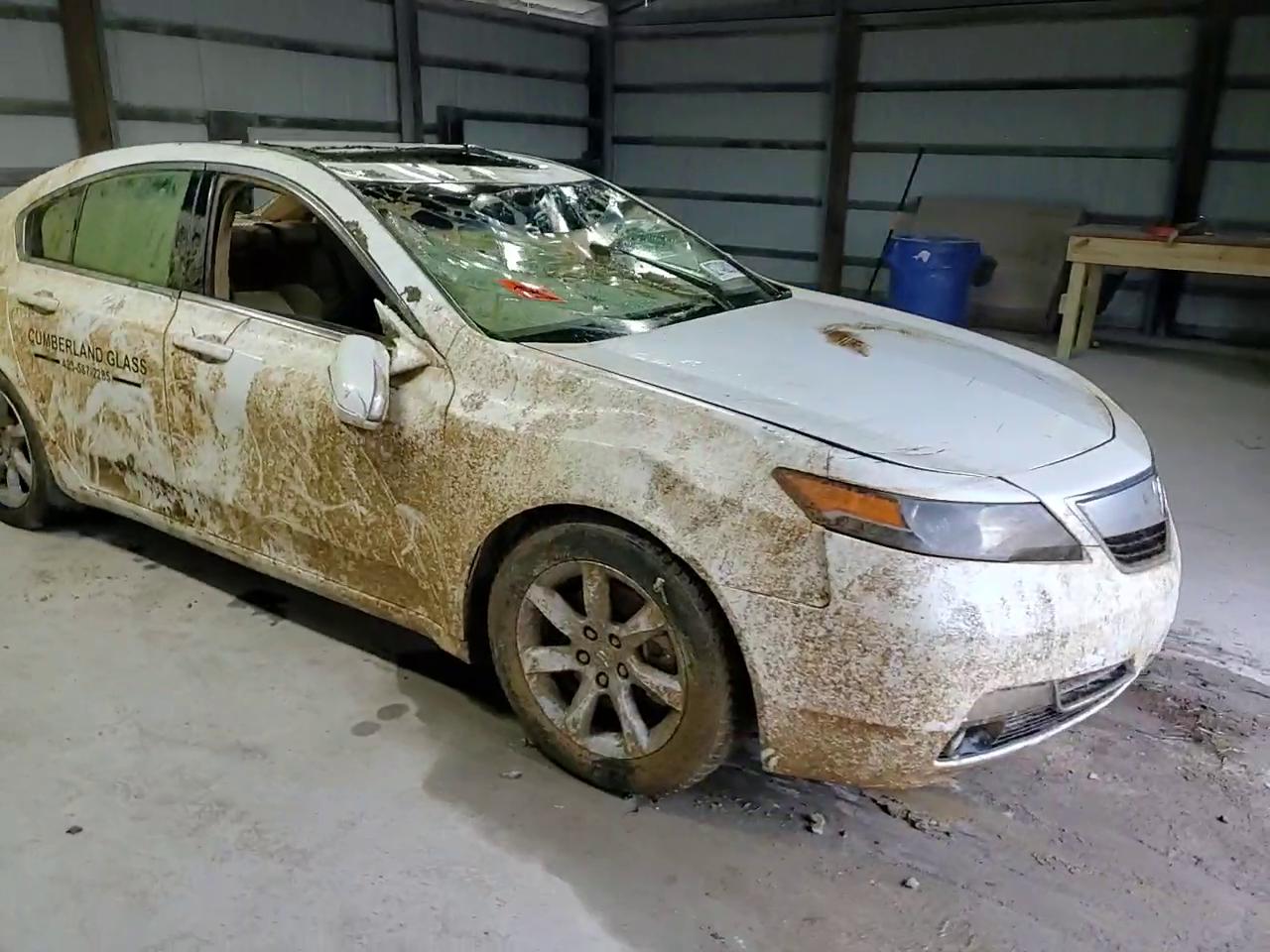 Фото: 19UUA8F25CA034036