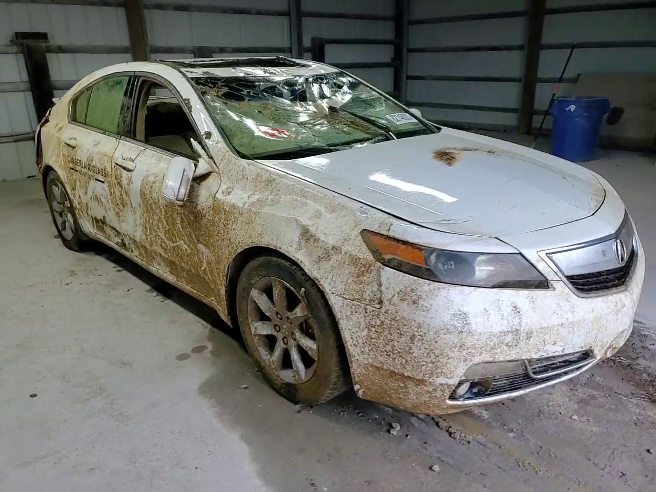 Фото: 19UUA8F25CA034036