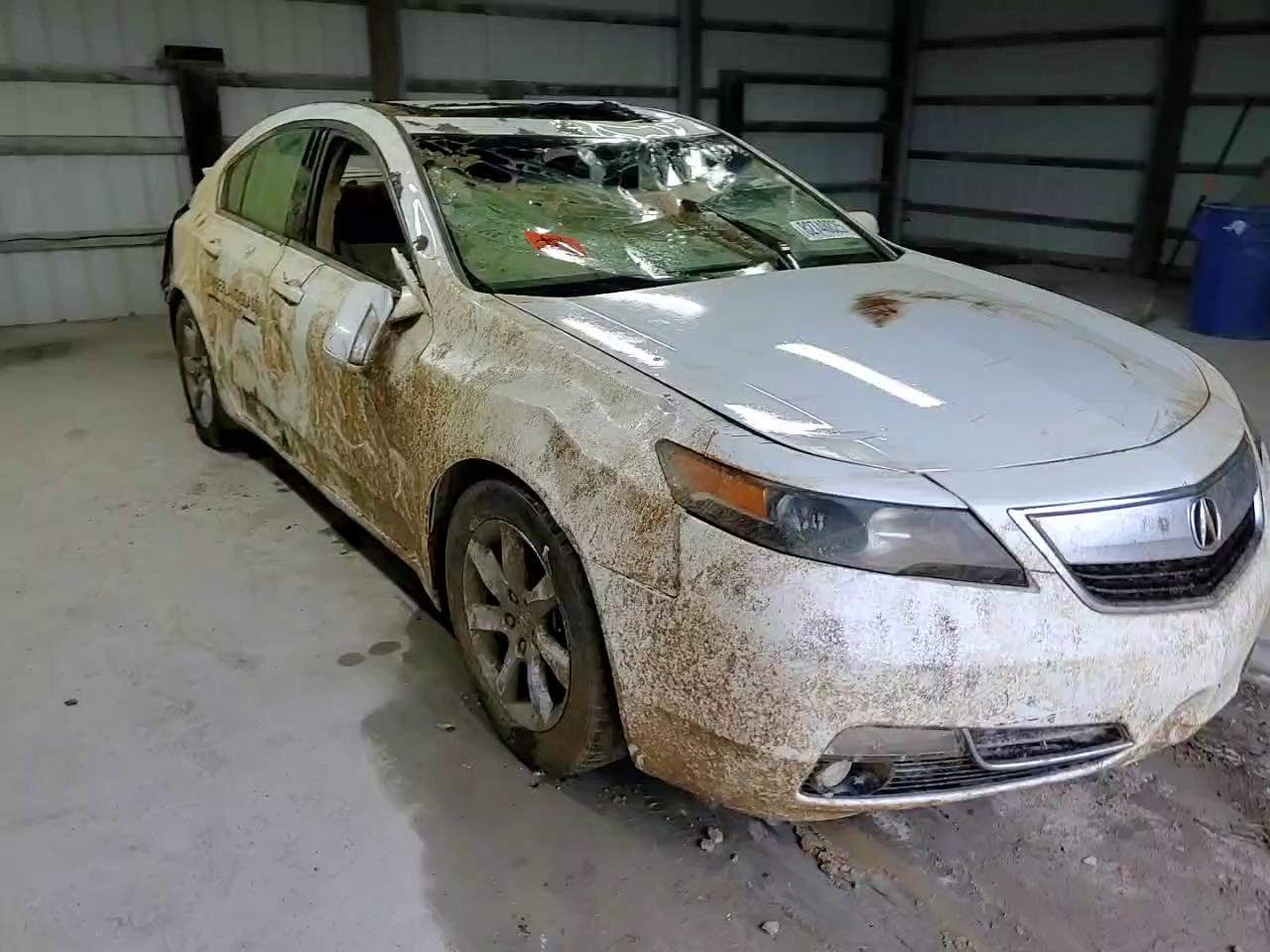 Фото: 19UUA8F25CA034036