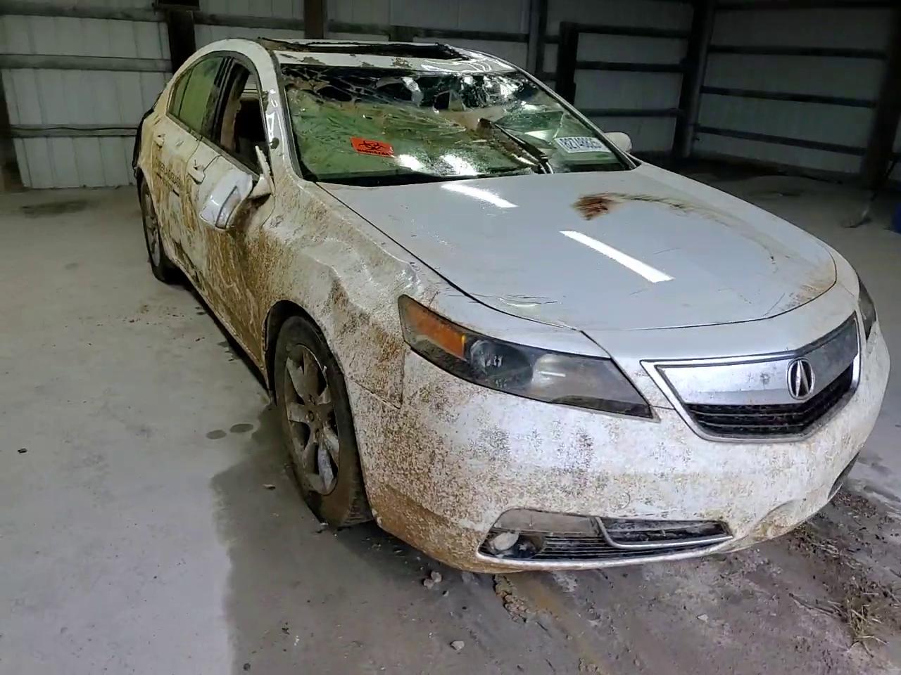 Фото: 19UUA8F25CA034036