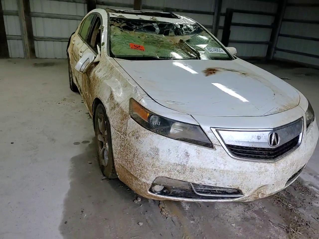 Фото: 19UUA8F25CA034036