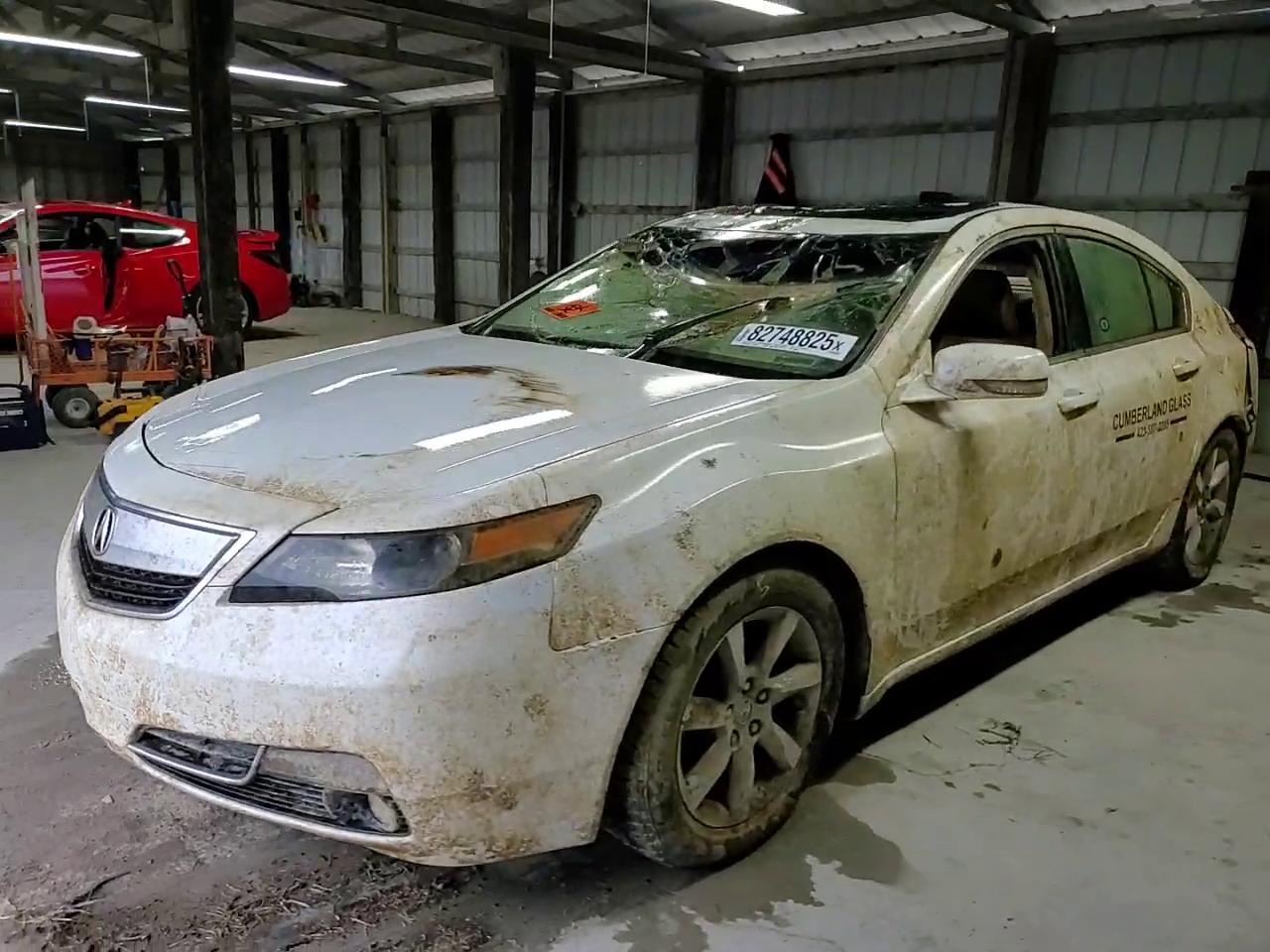 Фото: 19UUA8F25CA034036