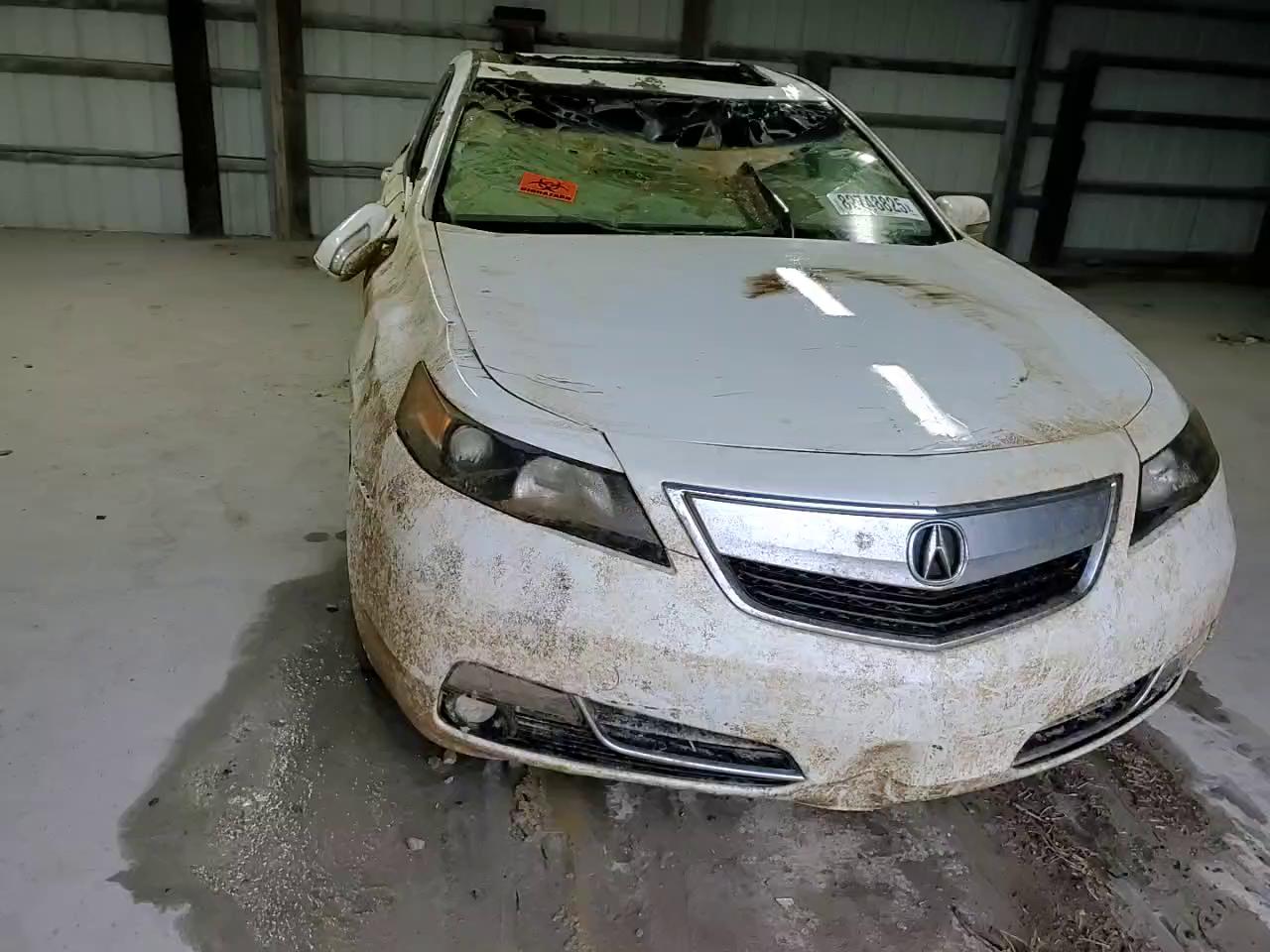 Фото: 19UUA8F25CA034036