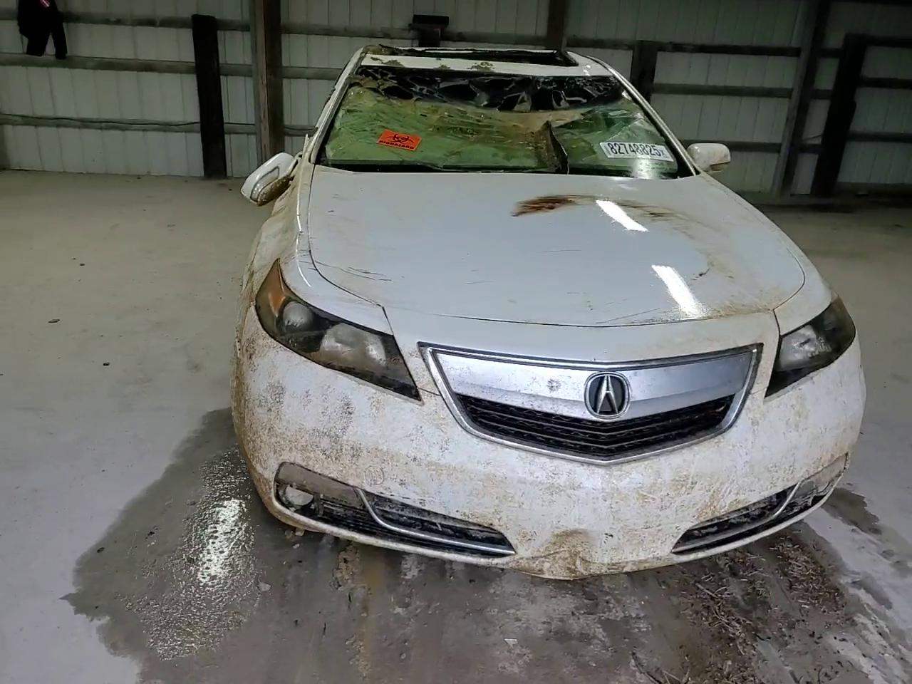 Фото: 19UUA8F25CA034036