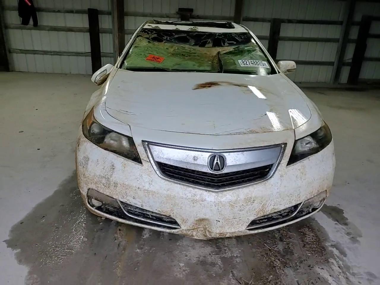 Фото: 19UUA8F25CA034036