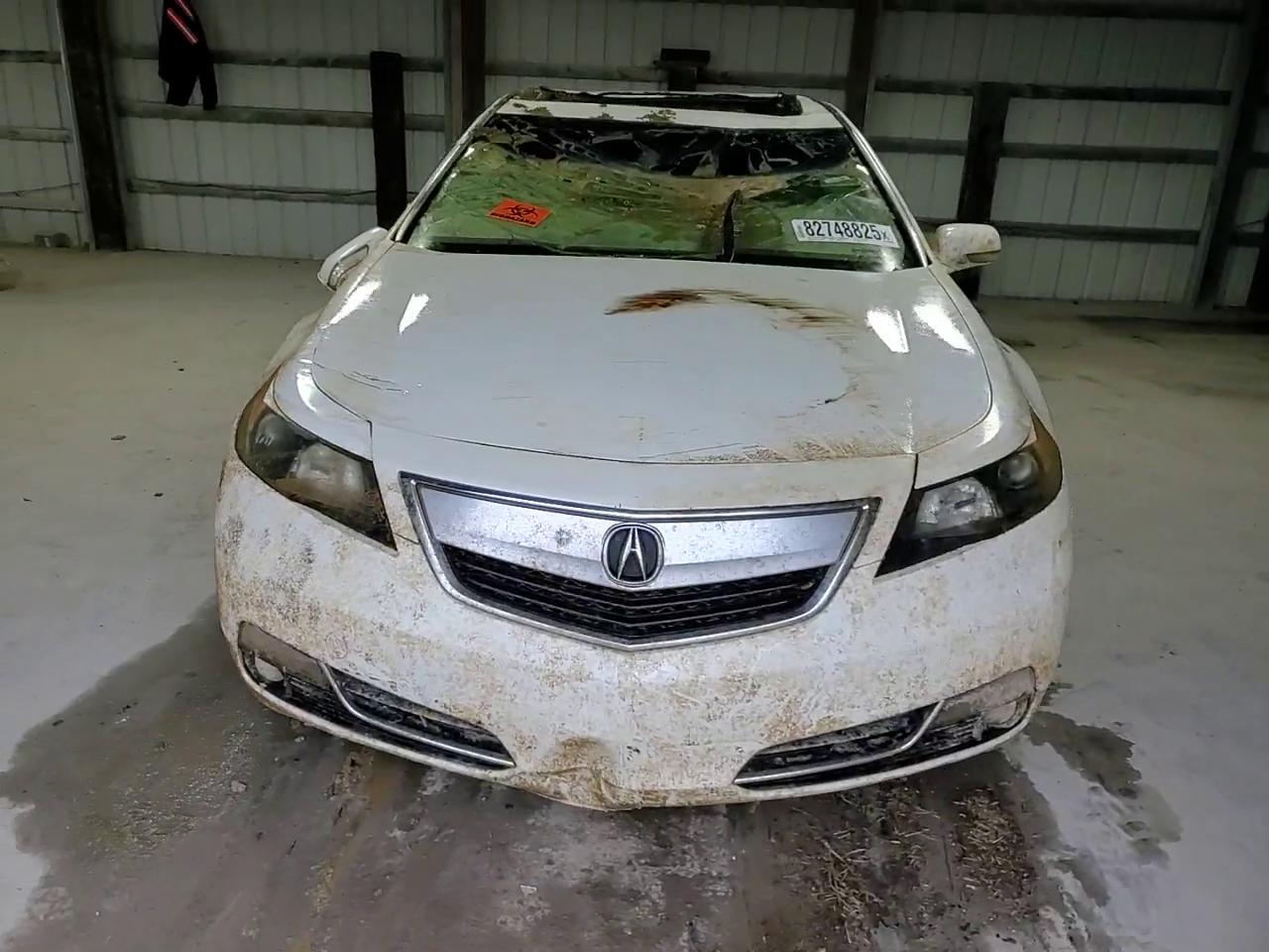 Фото: 19UUA8F25CA034036