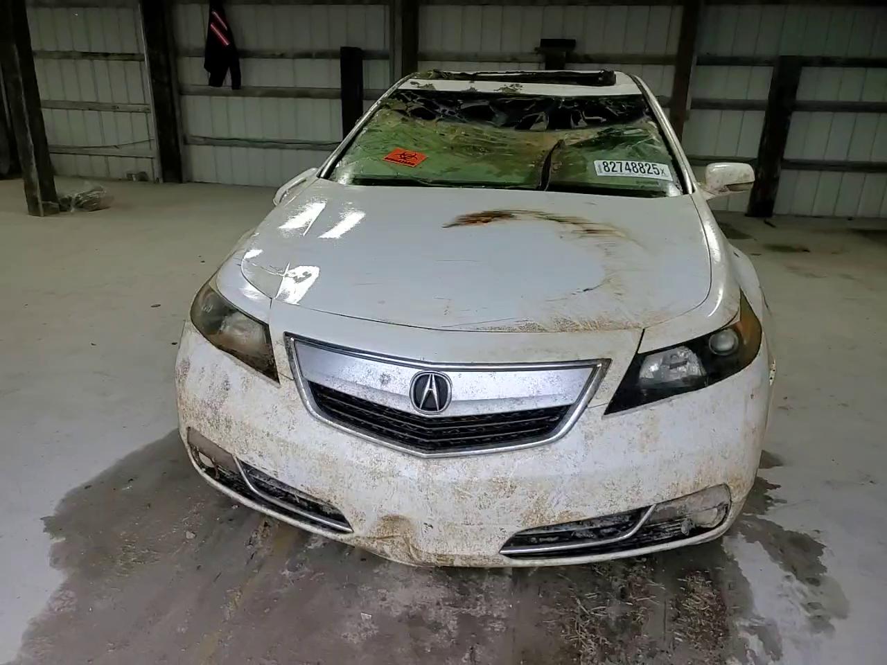 Фото: 19UUA8F25CA034036