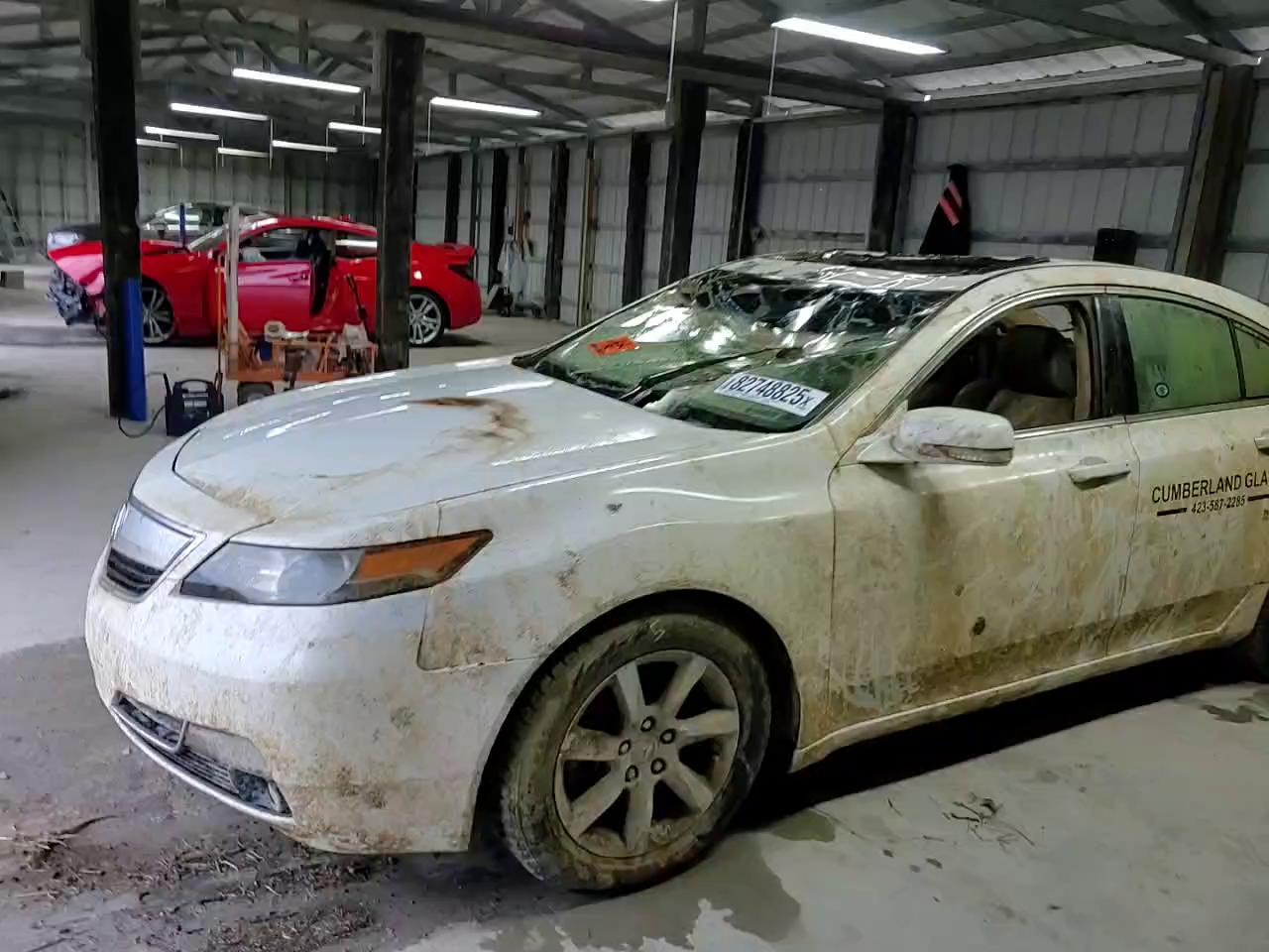 Фото: 19UUA8F25CA034036