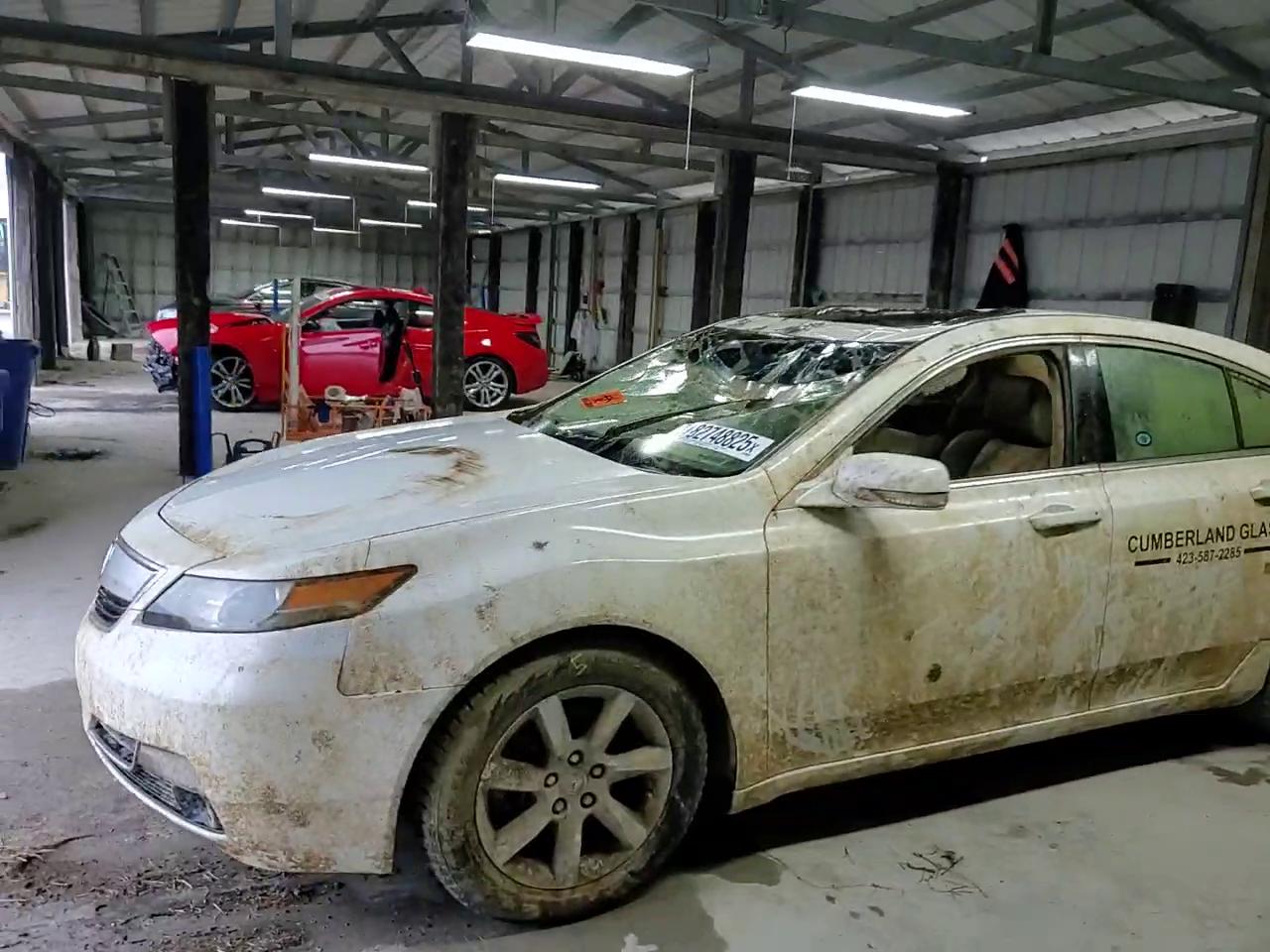 Фото: 19UUA8F25CA034036