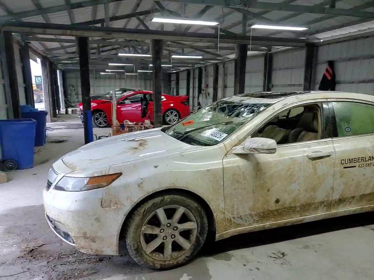 Фото: 19UUA8F25CA034036