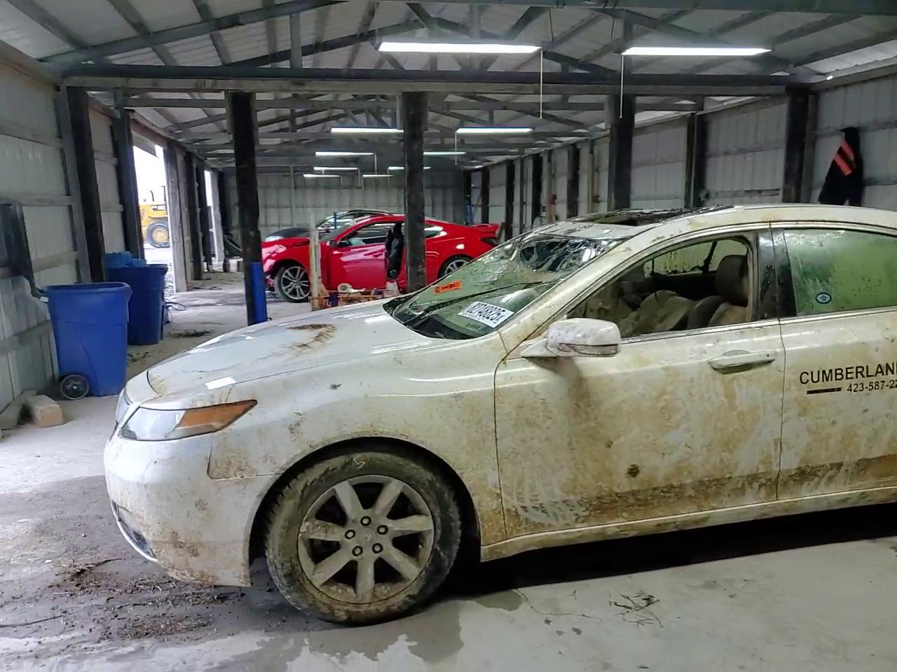 Фото: 19UUA8F25CA034036