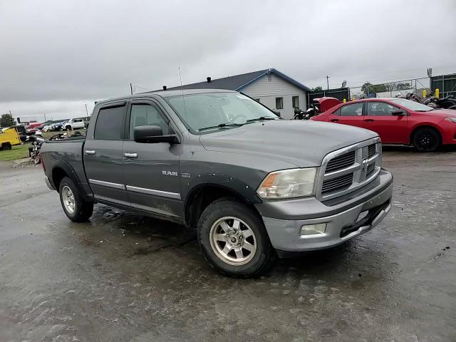 2009 Dodge Ram 1500 VIN: 1D3HV13T69S702171 Lot: 89620945