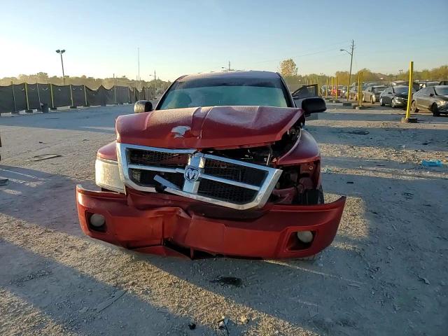 2008 Dodge Dakota Quad Slt VIN: 1D7HW48N88S542770 Lot: 82681525