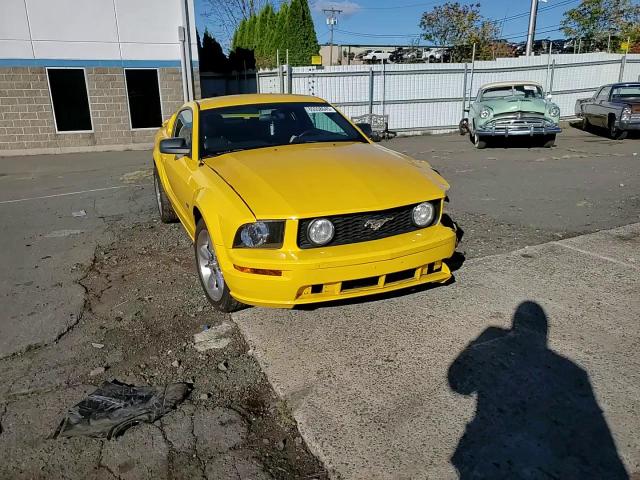 2006 Ford Mustang Gt VIN: 1ZVHT82H065248026 Lot: 85558645