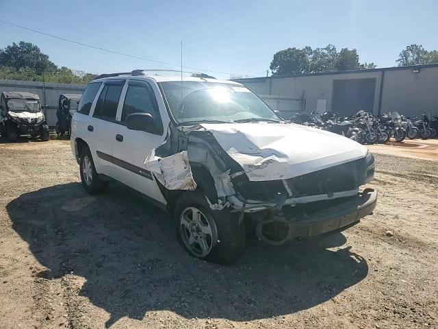 2003 Chevrolet Trailblazer VIN: 1GNDT13S632243386 Lot: 81863145
