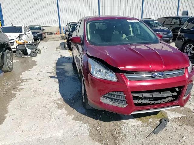 2014 Ford Escape Se VIN: 1FMCU0GX6EUB58696 Lot: 86429745