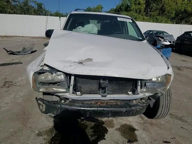 2002 Chevrolet Trailblazer VIN: 1GNDT13S522493720 Lot: 85363675