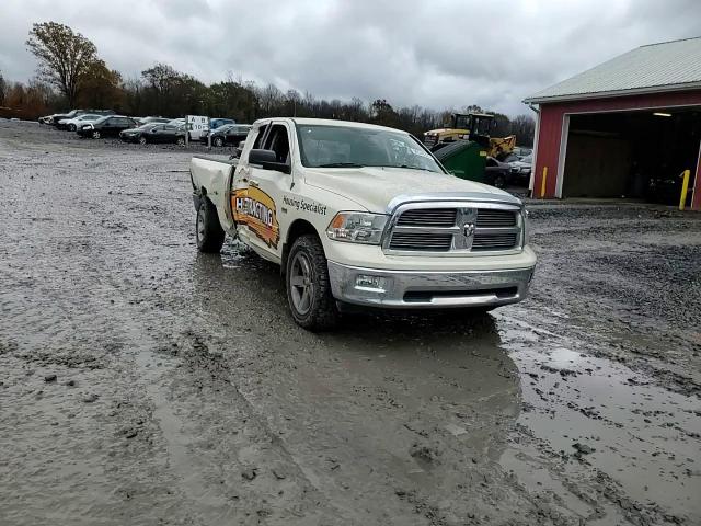2010 Dodge Ram 1500 VIN: 1D7RV1GT5AS225895 Lot: 90549325