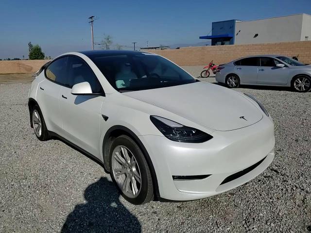 2022 Tesla Model Y VIN: 7SAYGDEE0NF542902 Lot: 84438855